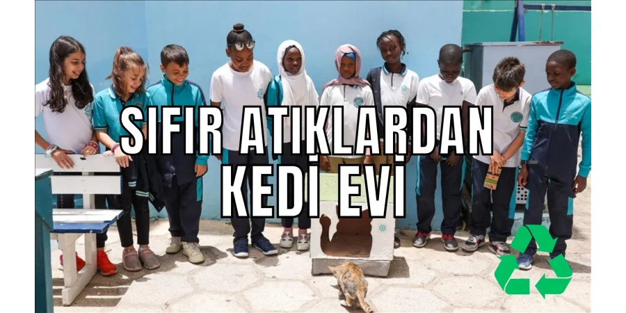 Les élèves de Maarif ont construit une maison pour chats à partir de zéro déchet.